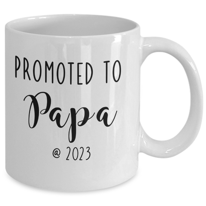 Funny Papa Mug, Gifts for Papa, Papa Coffee Cup, Promoted to Papa 2023, Baby Announcement, Grandparents Day Presents from Grandkids