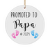 Papa Ornament Gifts, New Papa Gift, Baby Announcement for Papa, Promoted to Papa 2024, Grandparents Day Presents