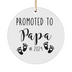 Papa Ornament Gifts, Promoted to Papa 2024, New Baby Announcement, Gifts for Papa-to-Be, Ceramic Baby Ornaments