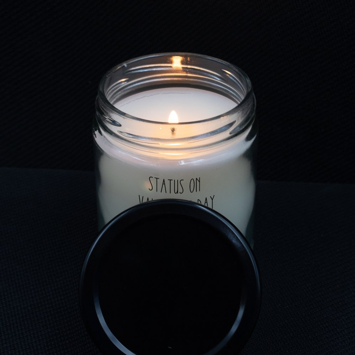 Sarcastic Valentine's Day Candle, Anti-Valentine's Day Candle Gifts, Gag Gift for Best Friend, Girlfriend Valentine Candle, 9 oz soy candle, vanilla scented candle
